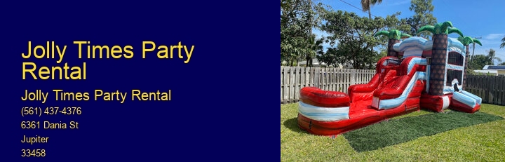 Inflatable Party Slides Rent